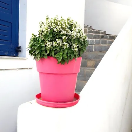 La Casa * Naousa (Paros)