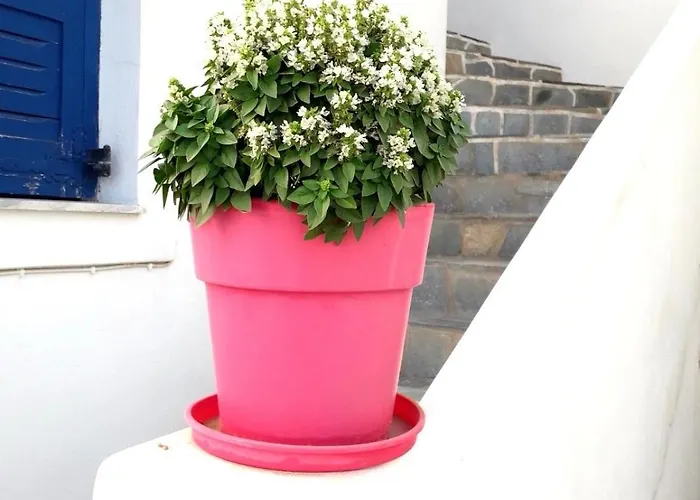 La Casa * Naousa (Paros)